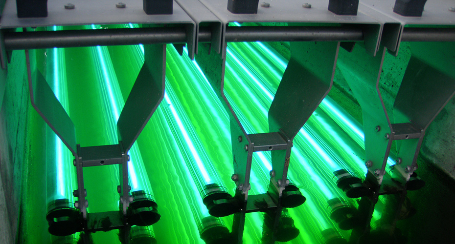 Nuestra experiencia incluye: